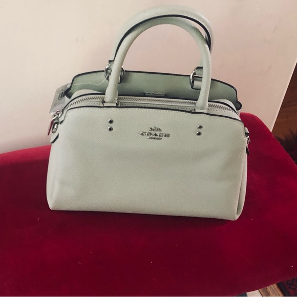 Coach Mini Lille Carryall Crossbody - Picture 11 of 11